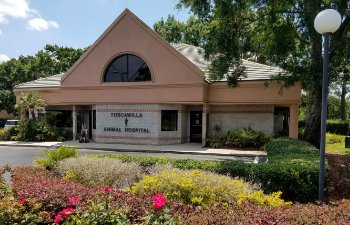 Tuscawilla Country Club Animal Hospital