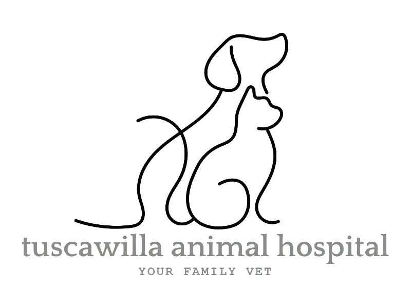 What Veterinarians Wish Every New Pet Parent Knew written by Tuscawilla Animal Hospital.