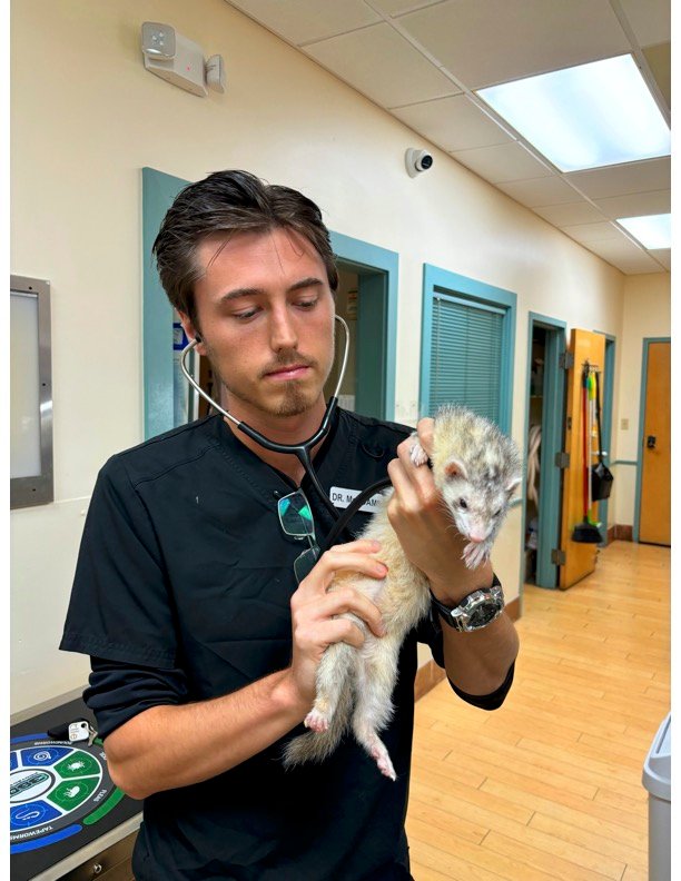 Dr. Braxten McAdams doing what he does best! | Gallery Tuscawilla Animal Hospital 