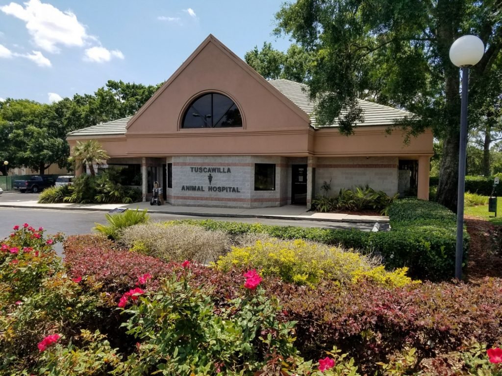  Tuscawilla Animal Hospital 