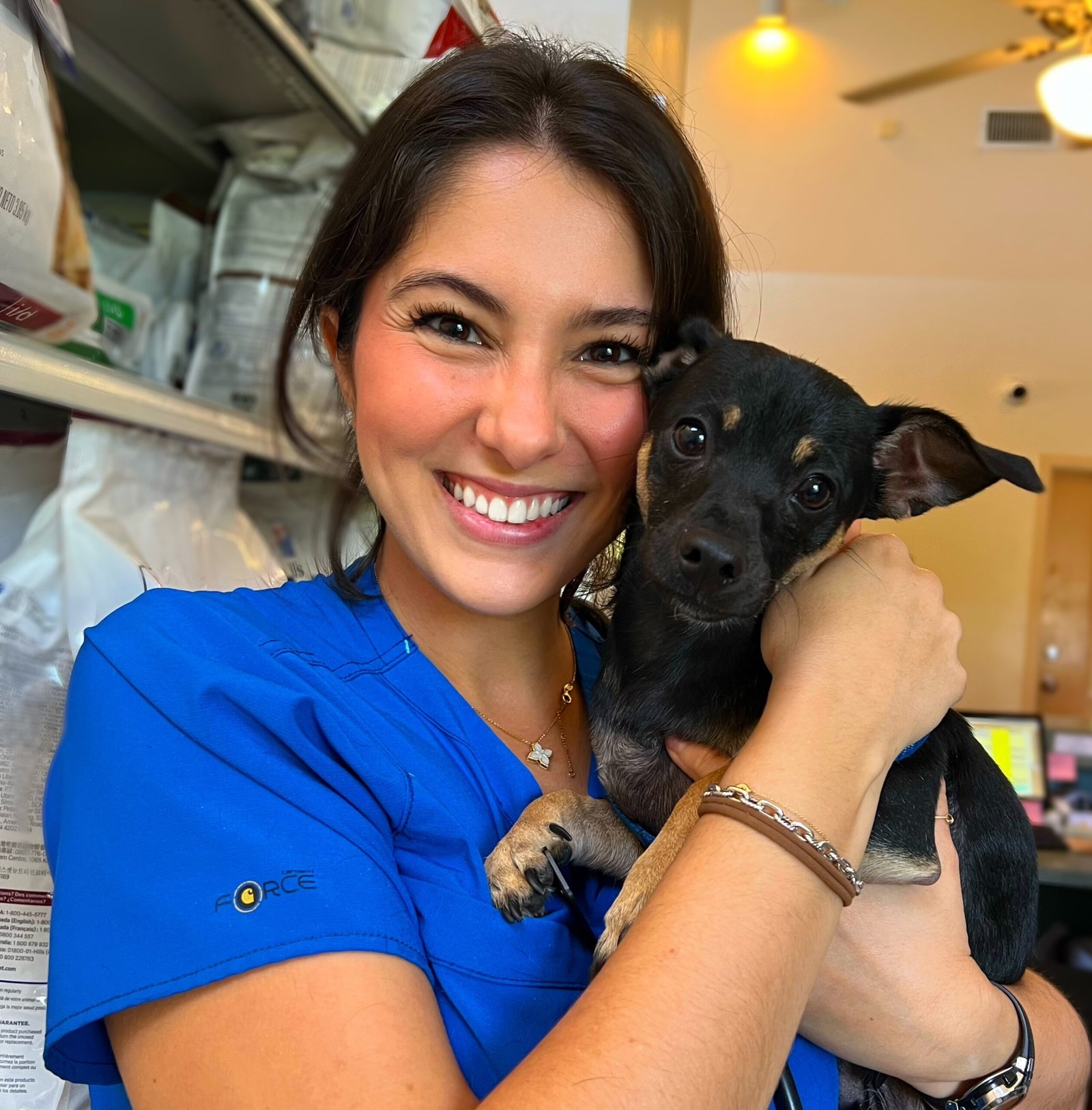 Dr. Monica Suero loving on her sweet patient | Gallery Tuscawilla Animal Hospital 